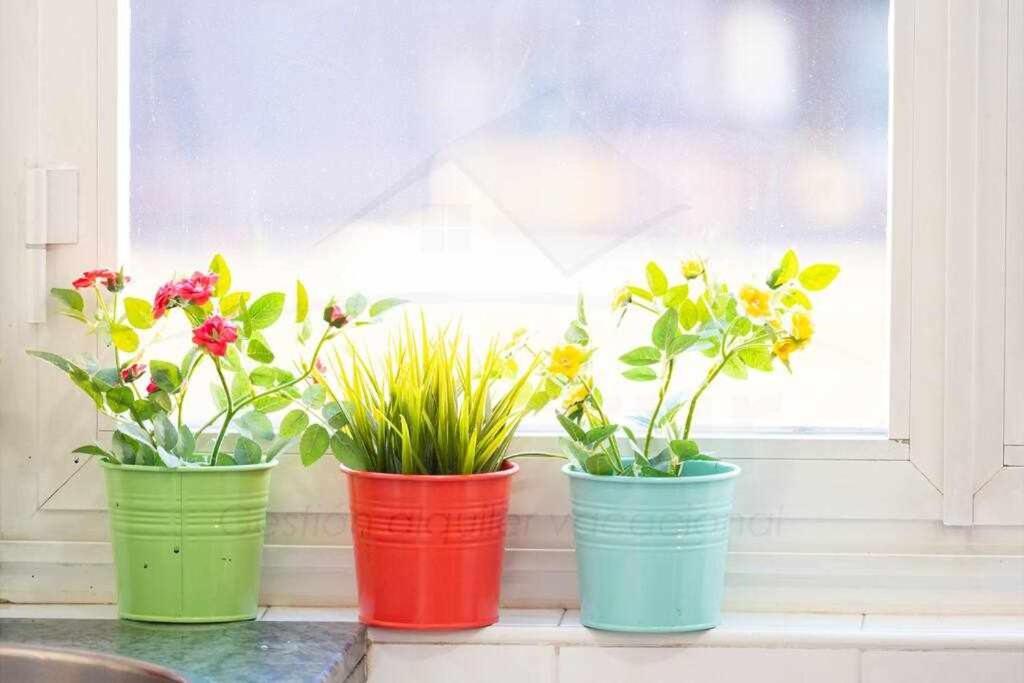 Colours Apartamento Овьедо Экстерьер фото